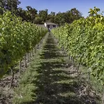 Domaine La Noyeraie Perigord Noir Villa Paulin