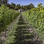 Domaine La Noyeraie Perigord Noir *