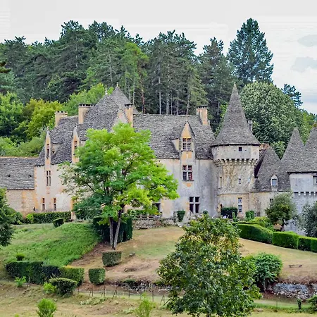 Domaine La Noyeraie Perigord Noir 别墅 *