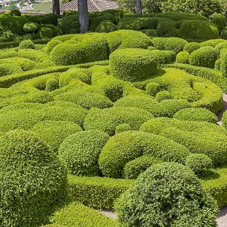 Domaine La Noyeraie Périgord Noir