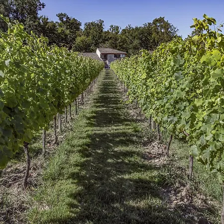 Domaine La Noyeraie Périgord Noir * Paulin